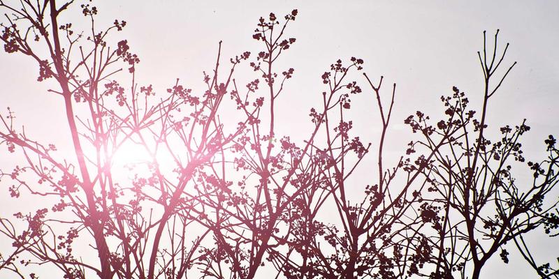 B2B内容营销白皮书撰写指南：打造行业思想领导力与获客利器