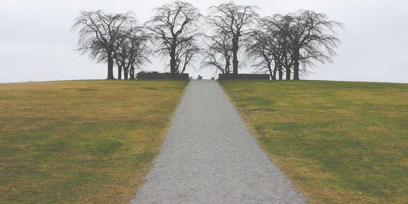 BYMYW数字营销实战：电商大促期间跨渠道整合营销全案策划指南