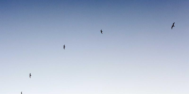 BYMYW网络营销98：数字营销新时代的战略解码与实战指南