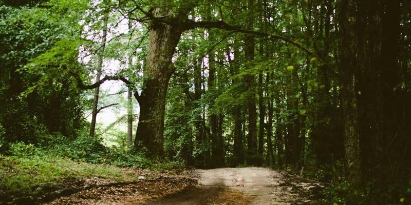 网络营销63：社交媒体营销与电商运营的融合之道，BYMYW模式如何重塑商业生态