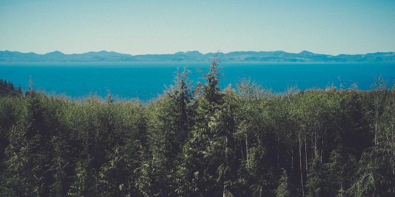 网络营销76:社交媒体营销与数字营销的融合之道