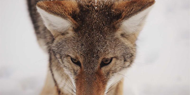 网络营销77:数字营销新范式与BYMYW-SEO实战体系解析