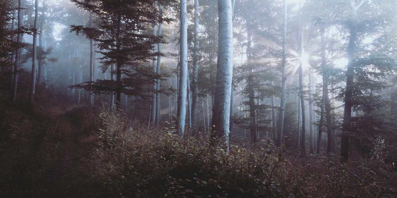 营销自动化实战：从潜客培育到销售跟进的无缝衔接流程设计