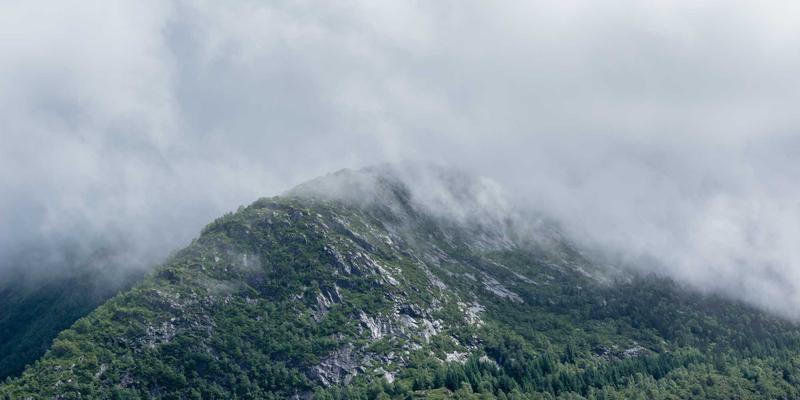 视频号直播带货的底层逻辑：从人设打造、选品策略到流量承接的完整数字营销模型